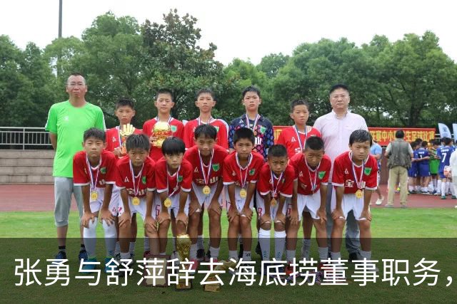 张勇与舒萍辞去海底捞董事职务，但控制权依然稳定